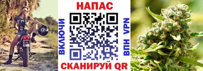 купить   Кимры  mega ТОР  МАРИХУАНА индика 